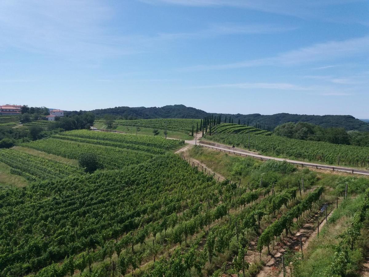 Agriturismo Casa Delle Rose Winery Ruttars Ngoại thất bức ảnh