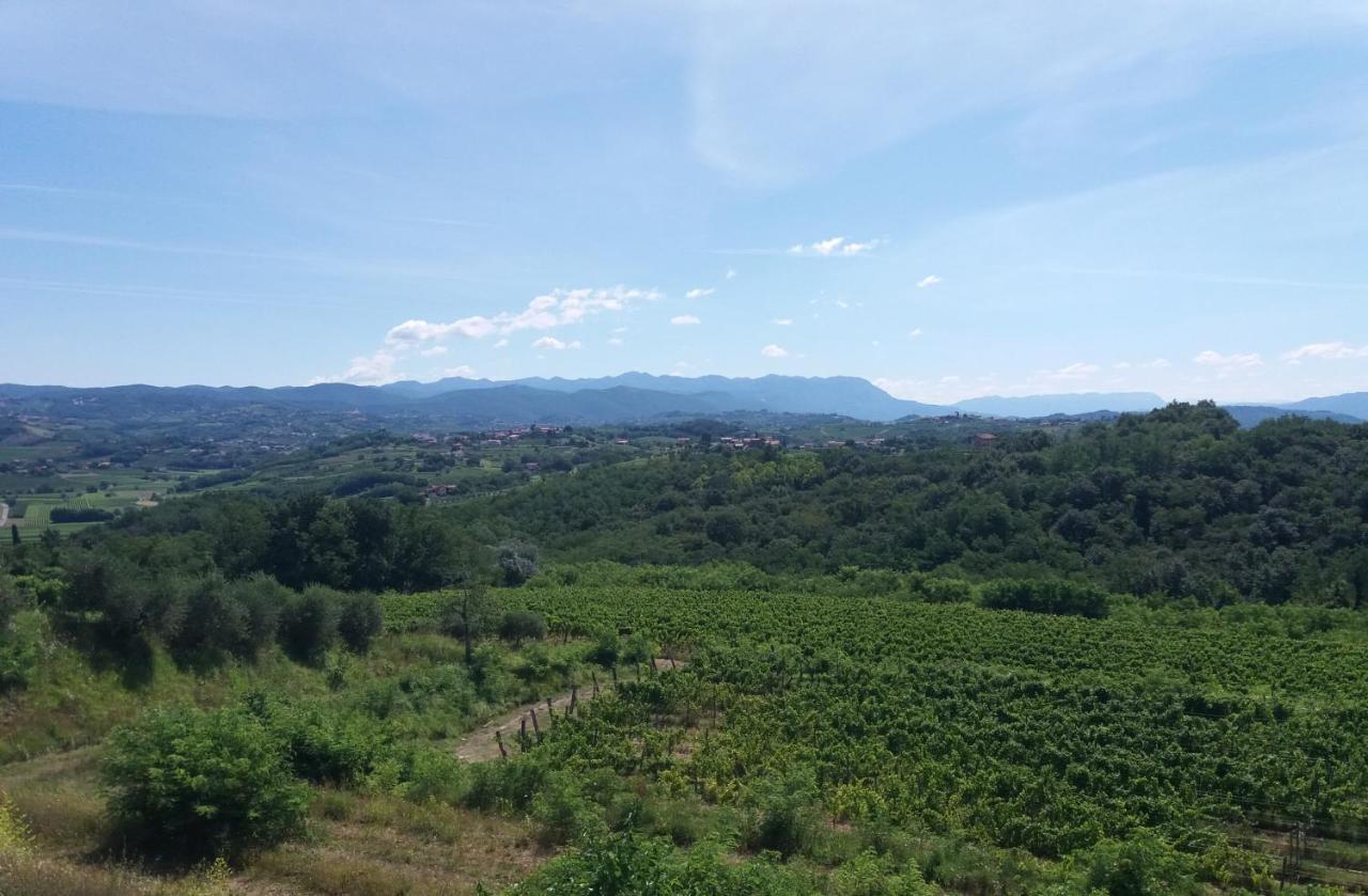 Agriturismo Casa Delle Rose Winery Ruttars Ngoại thất bức ảnh