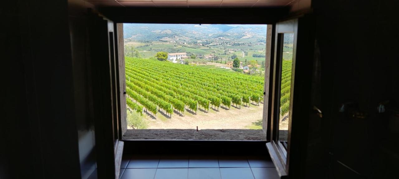 Agriturismo Casa Delle Rose Winery Ruttars Ngoại thất bức ảnh