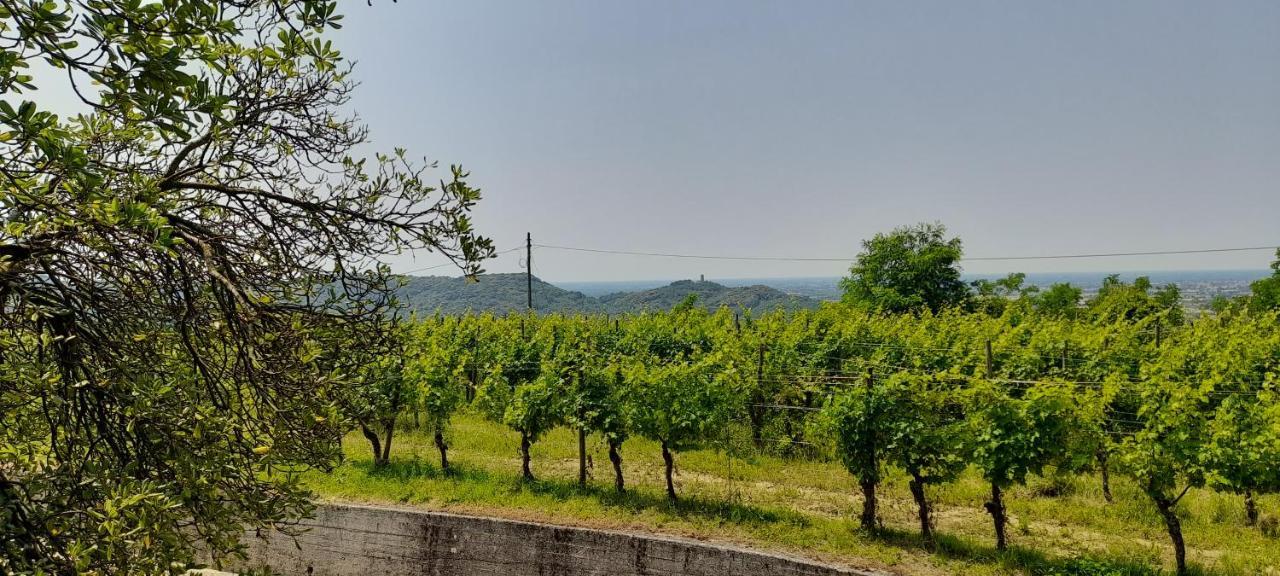 Agriturismo Casa Delle Rose Winery Ruttars Ngoại thất bức ảnh