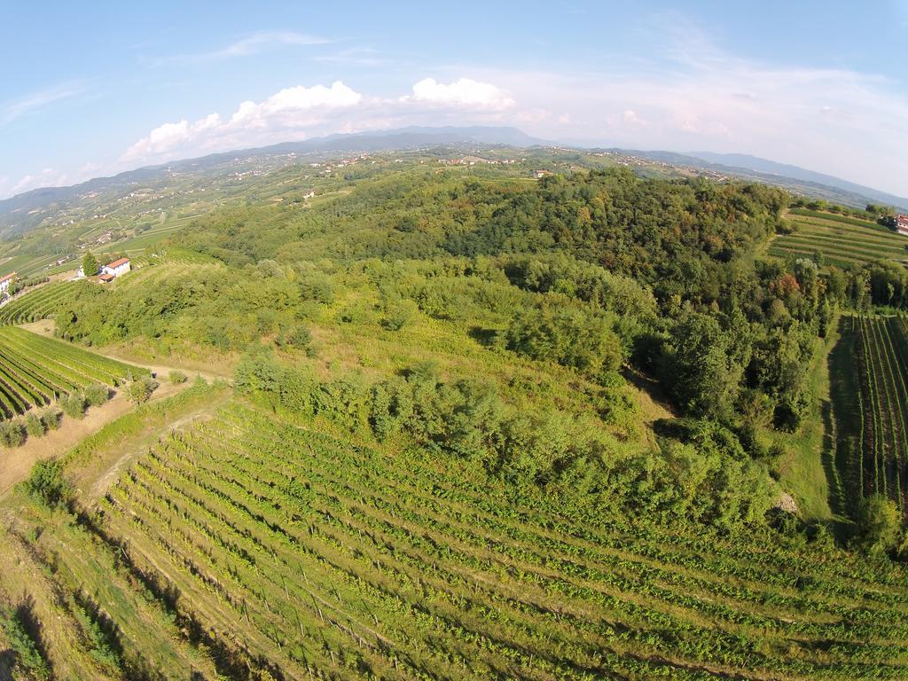 Agriturismo Casa Delle Rose Winery Ruttars Ngoại thất bức ảnh