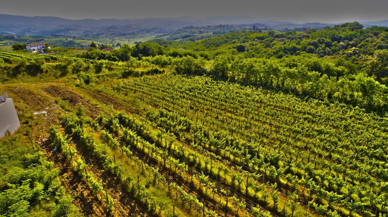 Agriturismo Casa Delle Rose Winery Ruttars Ngoại thất bức ảnh